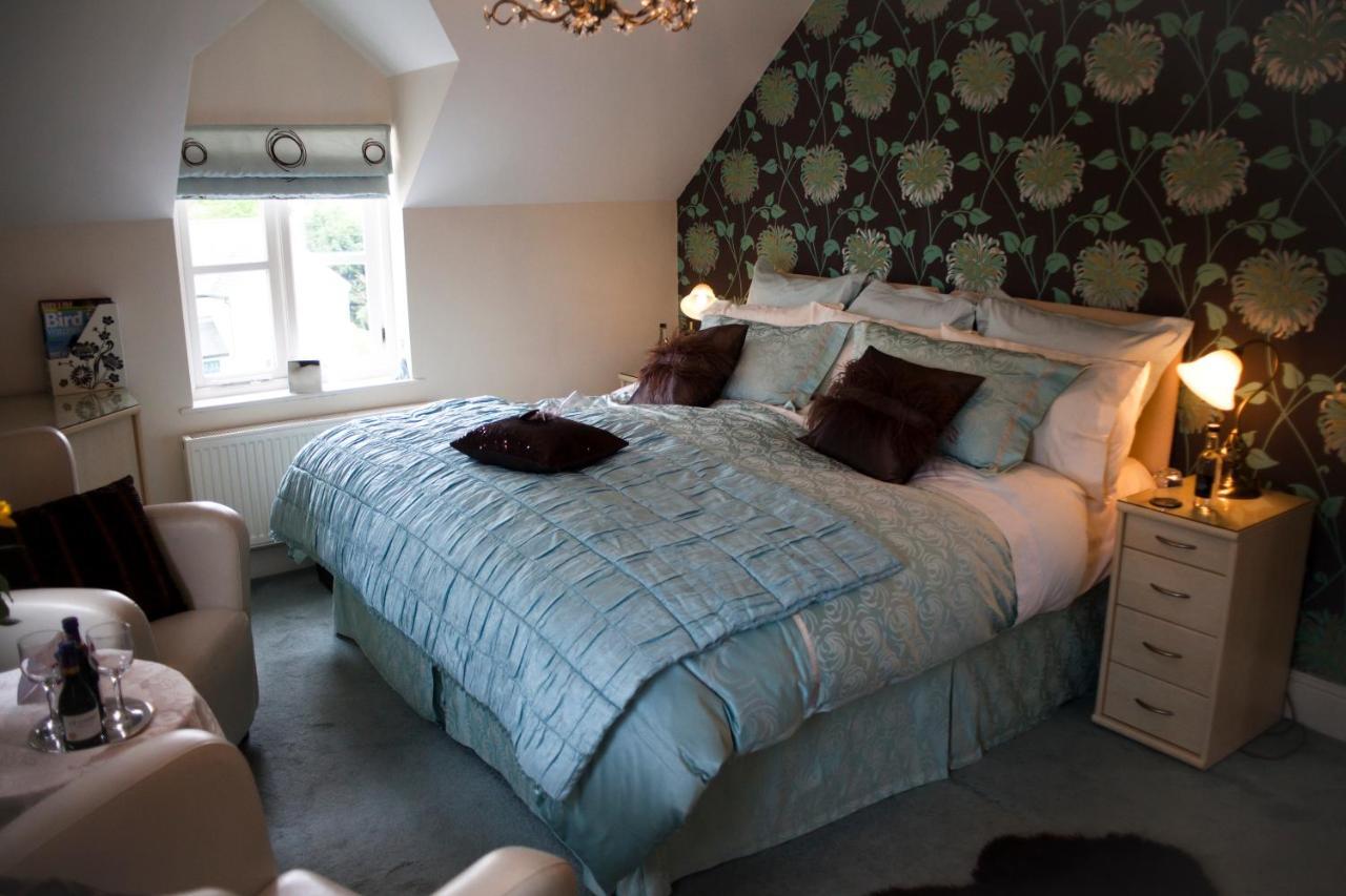 Y Garth Luxury Bed And Breakfast Dinas  Luaran gambar